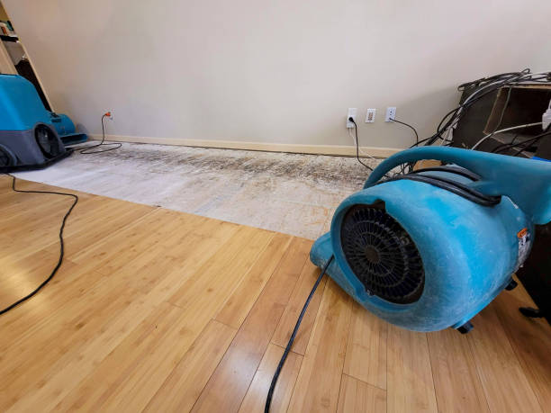 Professional Flood Damage Cleanup technician working in Walnut Creek, OH